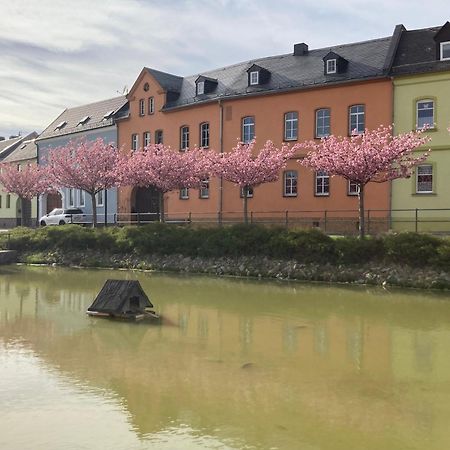 Pension Und Ferienwohnung Am Teich シュライツ エクステリア 写真