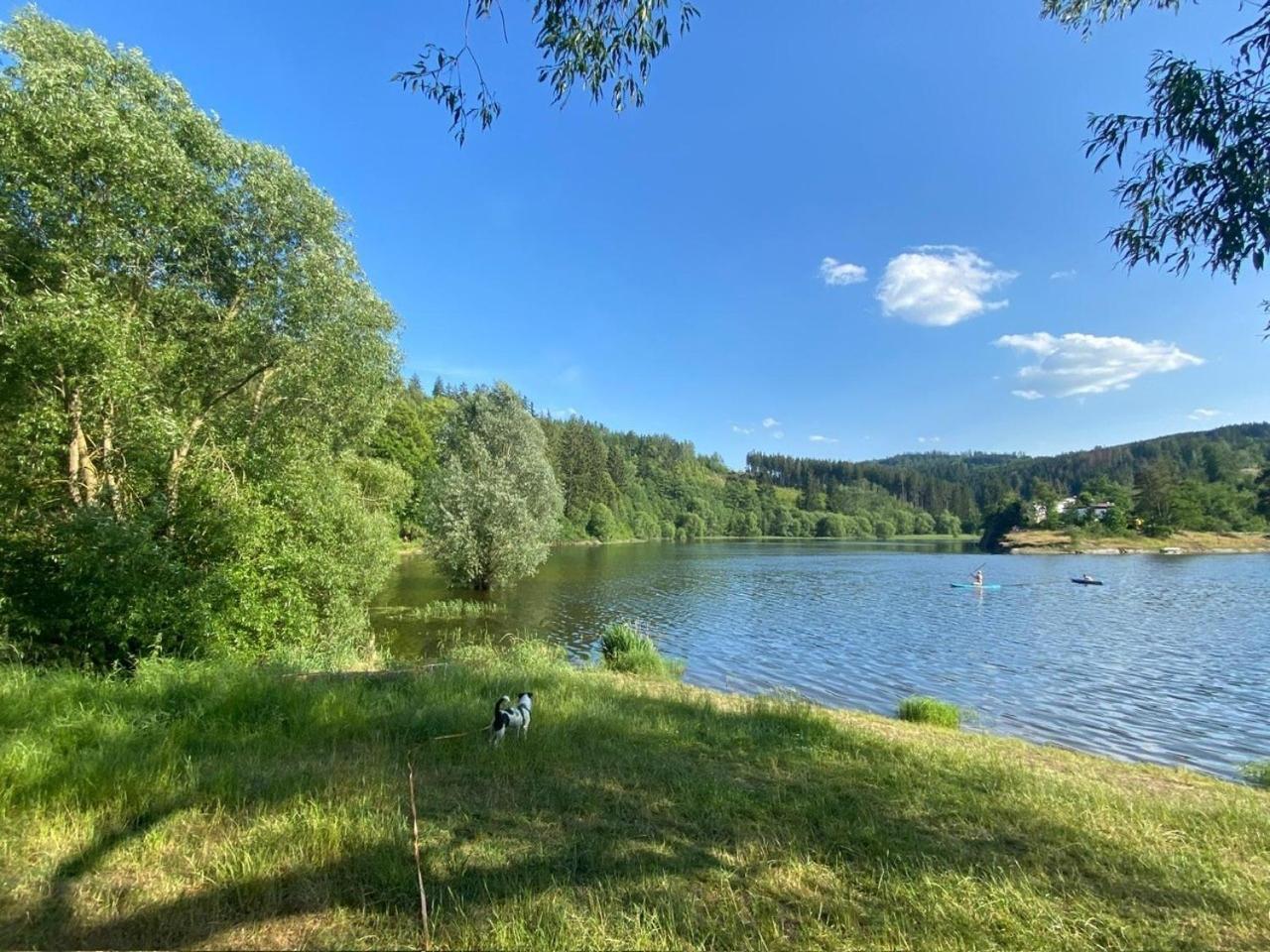 Pension Und Ferienwohnung Am Teich シュライツ エクステリア 写真