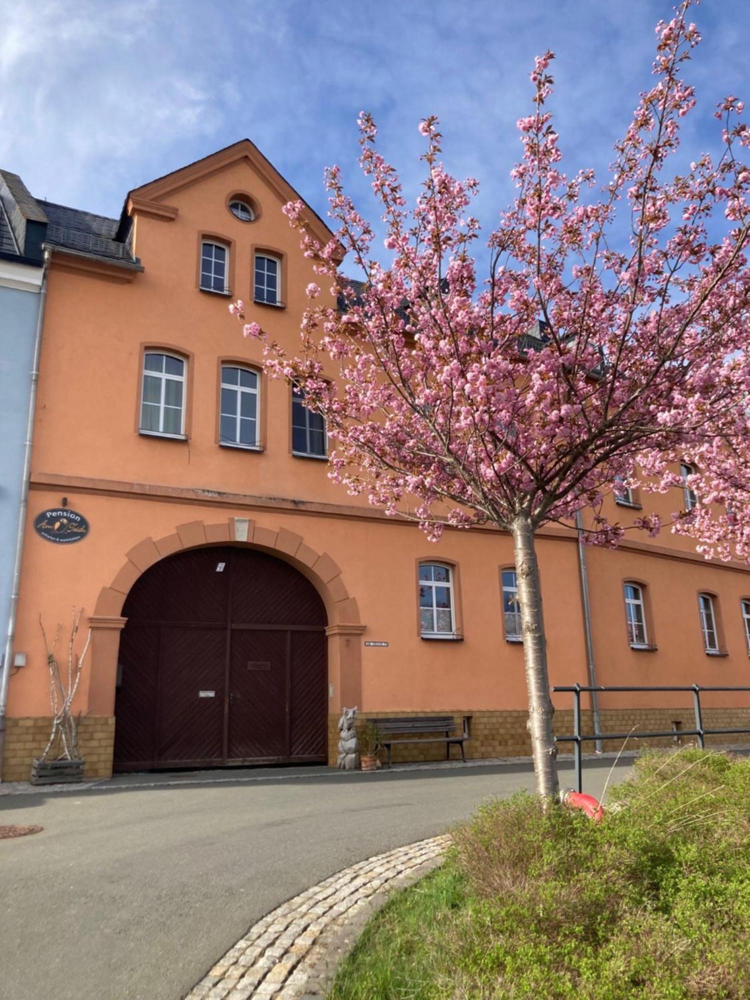 Pension Und Ferienwohnung Am Teich シュライツ エクステリア 写真