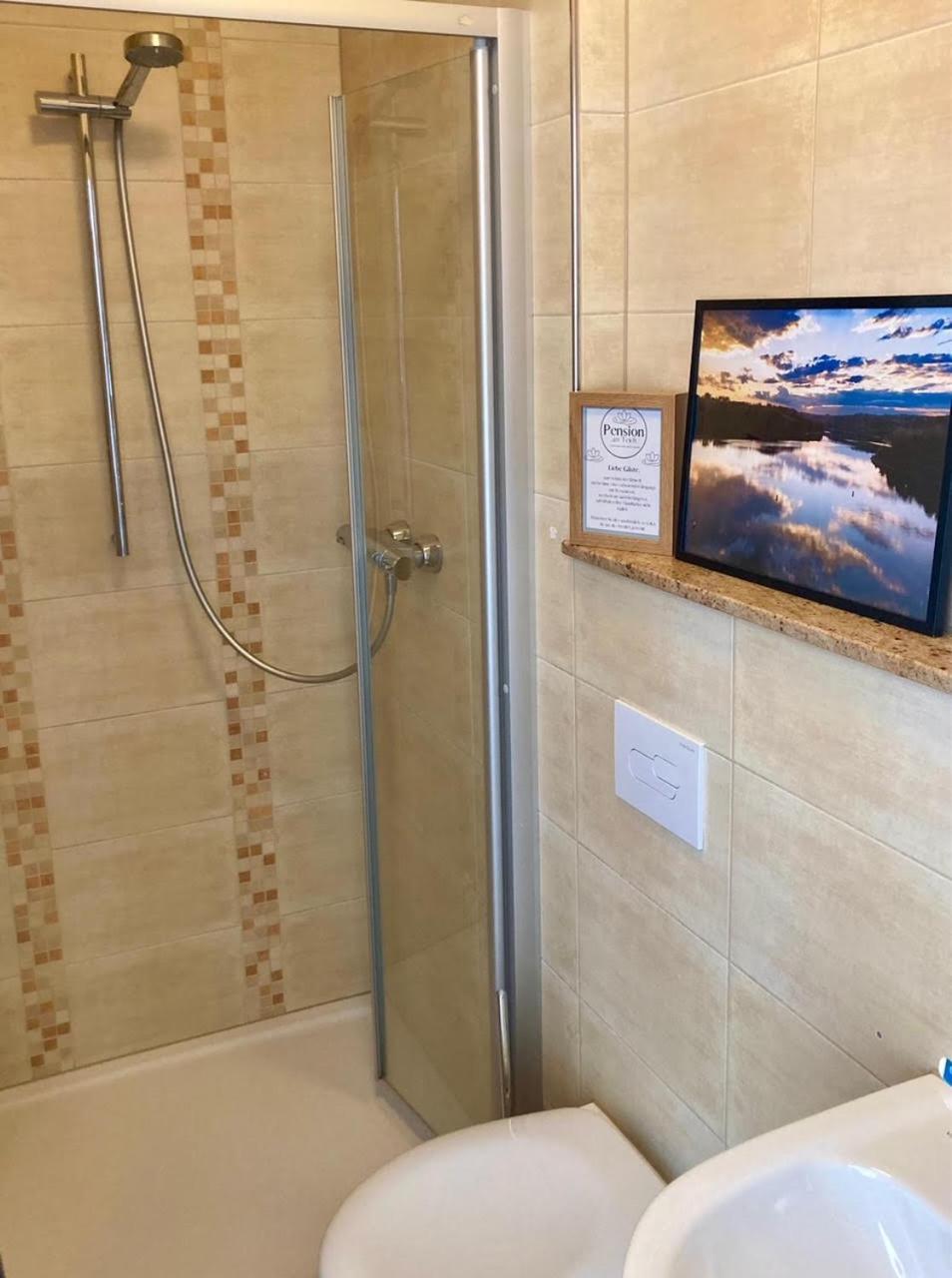 Pension Und Ferienwohnung Am Teich シュライツ エクステリア 写真
